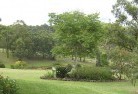 Greens Creek VICresidential-landscaping-40.jpg; ?>